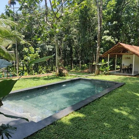 Pool Villa - The Humming Trees, Pala Lalam Bagian luar foto