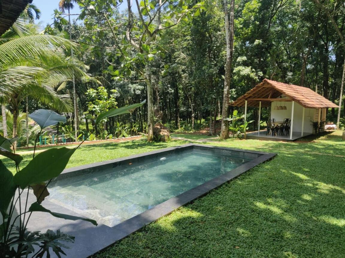 Pool Villa - The Humming Trees, Pala Lalam Bagian luar foto